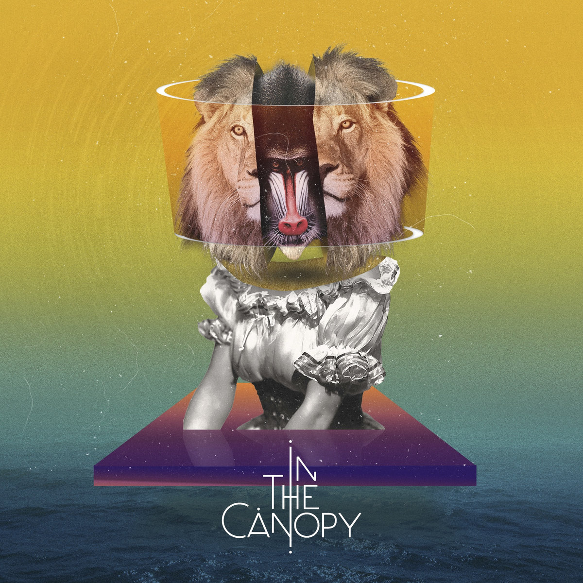 In The Canopy - Talking Monkeys